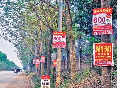 Những tấm biển rao bán đất mọc lên nhan nhản trong cơn sốt đất