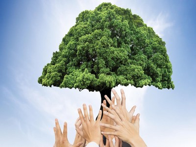 Cây lớn người ôm phát sinh từ mầm nhỏ, vạn dặm hành trình khởi đầu bằng một bước chân.