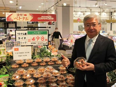 Vải thiều Việt Nam bán tại hệ thống siêu thị của Nhật Bản năm 2020