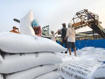 Gạo là mật hàng xuất khẩu chủ lực của Việt Nam sang châu Phi, với kim ngạch 550 triệu USD năm 2020.