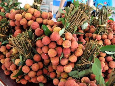 Phó Thủ tướng chỉ đạo hỗ trợ tiêu thụ nông sản tỉnh Bắc Giang