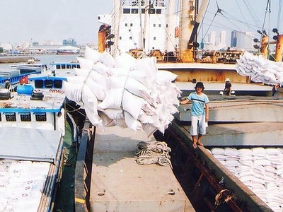 Giá gạo xuất khẩu 5 tháng đạt bình quân 543 USD/tấn, tăng 11,9% so vứi cùng kỳ năm 2020