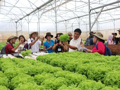 Thành lập Ban chỉ đạo tổng kết 20 năm đổi mới, phát triển kinh tế tập thể