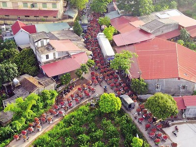 Tiêu thụ vải thiều tại Bắc Giang. Ảnh: Quân Nguyên