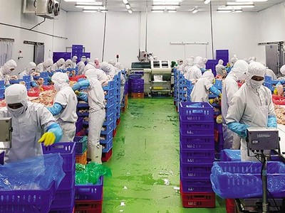 Các doanh nghiệp đang nỗ lực tìm kiếm nguồn cung để sớm có vắc-xin Covid-19 tiêm phòng cho người lao động. Trong ảnh: Dây chuyền chế biến thịt gà tại Công ty TNHH Koyu & Unitek, Khu công nghiệp Long Bình (Loteco), Biên Hòa (Đồng Nai )