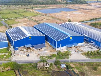 Louis Agro: Nhiều toan tính sau loạt M&A chóng vánh