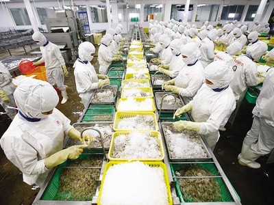 Những doanh nghiệp có chuỗi sản xuất cần được ưu tiên hỗ trợ trong bối cảnh khó khăn hiện nay. Ảnh: Đ.T