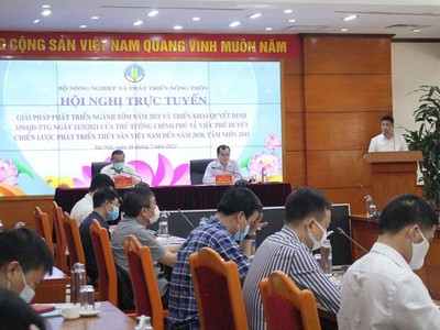 Ước kim ngạch xuất khẩu tôm 6 tháng đầu năm đạt 1,5 tỷ USD (trong đó, tôm sú đạt 200 triệu USD, tôm thẻ chân trắng đạt 1,3 tỷ USD).