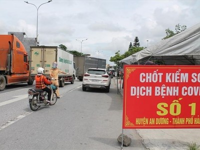 Tổ công tác đặc biệt của Bộ GTVT sẽ trực tiếp chỉ đạo các cơ quan, đơn vị thuộc ngành GTVT để bảo đảm vận chuyển hàng hóa, nguyên liệu sản xuất, lương thực, thực phẩm, các hàng hóa thiết yếu được thông suốt giữa các tỉnh, thành phố có dịch, giữa các tỉnh, thành phố có dịch với các địa phương khác.