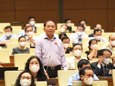 Đại biểu Lê Thanh Vân (Cà Mau) phát biểu. (Ảnh- Quochoi.vn).