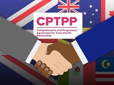 Sổ tay Tìm hiểu thị trường mua sắm công Việt Nam sẽ là tài liệu hữu ích để các tổ chức, cá nhân có thể tham khảo trong quá trình đấu thầu tại Việt Nam.