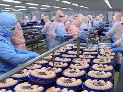 Xuất khẩu hàng hóa nửa đầu tháng 7/2021 sụt giảm 13,9% so với kỳ cuối tháng 6, nhập siêu 1,83 tỷ USD.