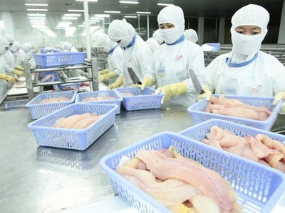 Sau 6 tháng đầu năm, Thuỷ sản Nam Việt đạt khoảng 45,6% mục tiêu doanh thu và 39,6% kế hoạch lợi nhuận trước thuế năm.