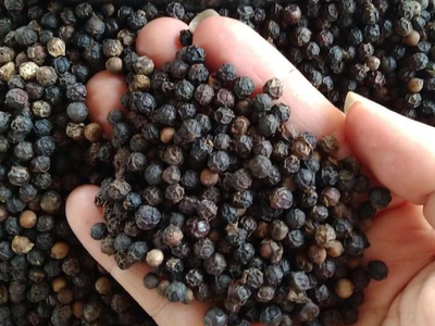 Đề xuất đưa hồ tiêu đen ra khỏi danh mục xuất khẩu có điều kiện