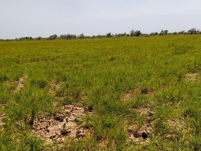 Do ảnh hưởng của hạn, mặn, nhiều tỉnh ven biển vùng Đồng bằng sông Cửu Long bị thiếu nước ngọt dùng cho sinh hoạt trong mùa khô