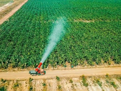 THACO vẫn đầu tư lớn cho mảng nông nghiệp