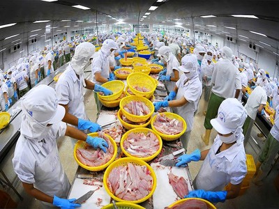 Kim ngạch xuất khẩu thủy sản của Việt Nam những năm gần đây dao động từ 8,5 đến gần 9 tỷ USD/năm.