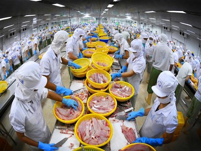 Vạch lộ trình phát triển cho ngành chế biến thủy sản Việt Nam