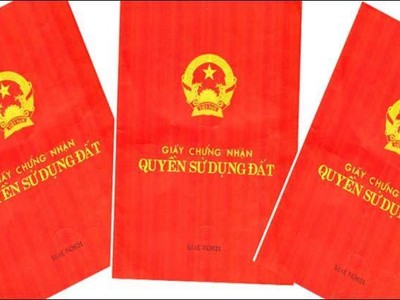 Yêu cầu lãnh đạo TP. Quảng Ngãi và huyện Nghĩa Hành xin lỗi dân