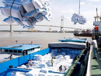 Giá gạo xuất khẩu của Việt Nam đã xuống thấp do ảnh hưởng của dịch bệnh kéo dài, khó khăn trong khâu thu hoạch, vận chuyển và cước phí vân tải tăng vọt...