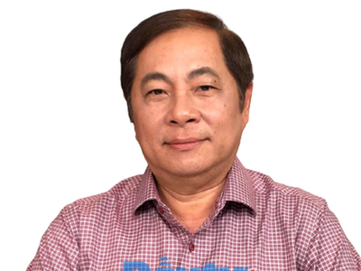 TS. Đinh Thế Hiển, Chuyên gia kinh tế