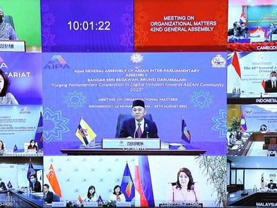 Phiên họp của Uỷ ban Tổ chức AIPA 42.