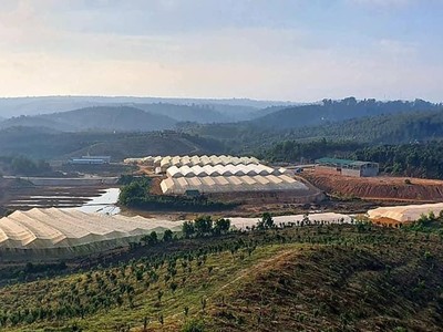 Tỉnh Đắk Nông sẽ rà soát các dự án trong Khu nông nghiệp ứng dụng công nghệ cao.