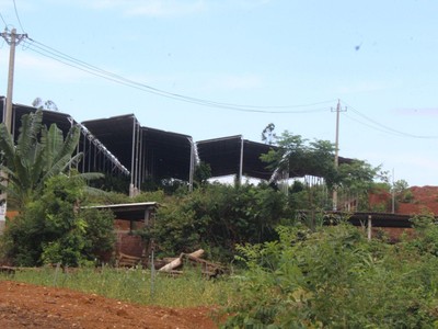 Tỉnh Quảng Nam yêu cầu kiểm tra, báo cáo về dự án điện mặt trời núp bóng trang trại.