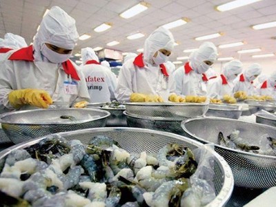 Xuất khẩu tôm sang EU tăng gàn 28% nửa đầu năm 2021, giá xuất khẩu cũng tăng tăng 0,16 USD/kg so với cùng kỳ năm 2020
