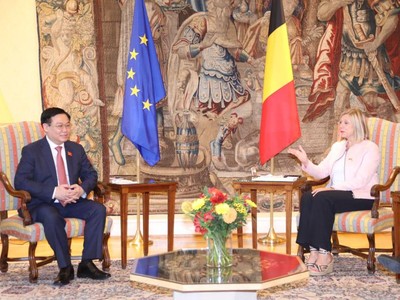 Chủ tịch Quốc hội Vương Đình Huệ hội đàm với Chủ tịch Hạ viện Bỉ Eliane Tillieux (Ảnh - TTXVN) 