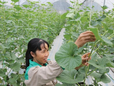 Tín dụng ngân hàng đang tập trung vào các lĩnh vực ưu tiên theo chủ trương của Chính phủ. Ảnh: Dũng Minh 