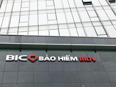 Hiện có nhiều doanh nghiệp bảo hiểm có cổ đông chiến lược nước ngoài sở hữu lượng cổ phần lớn như Bảo Việt, PTI, BIC...