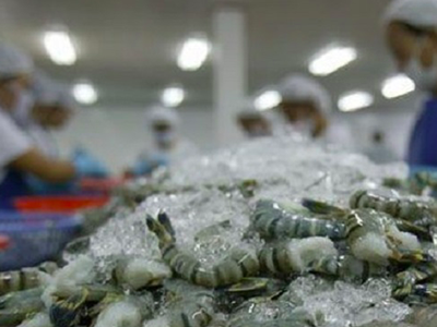 8 tháng năm 2021, nhập khẩu thủy sản tăng 17,3% so với cùng kỳ, đạt gần 1,35 tỷ USD, trong đó nhập từ Ấn Độ gần 230 triệu USD.