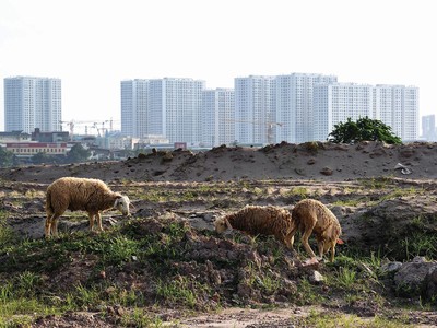 Nhiều dự án bị tắc thủ tục công nhận chủ đầu tư. Ảnh: Dũng Minh