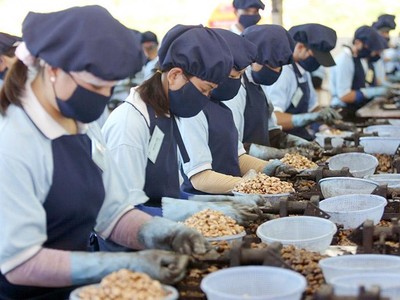 Mở cửa được coi như máy trợ thở giúp doanh nghiệp nhanh chóng vượt qua khó khăn và phục hồi phát triển. Ảnh: Đ.T