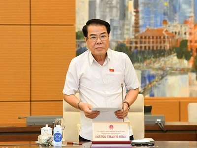 Trưởng ban Dân nguyện Dương Thanh Bình báo cáo tại phiên họp.