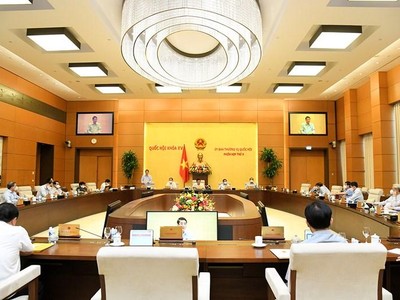 Ủy ban Thường vụ Quốc hội cho ý kiến về Luật sửa đổi, bổ sung một số điều của Luật Thống kê.