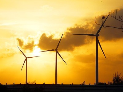 Đến thời điểm hiện tại, số dự án điện gió được công nhận COD còn rất thấp. Ảnh: Đức Thanh