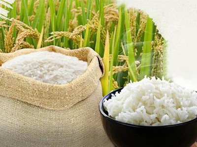 Doanh nghiệp cần lưu ý tồn dư hóa chất trong sản phẩm nông thủy sản xuất khẩu.