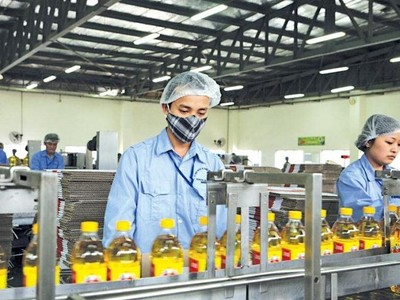 Vocarimex (VOC) chia cổ tức đặc biệt với tỷ lệ 100% bằng tiền mặt