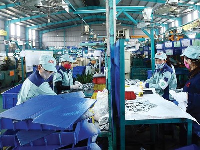 Bắt đầu “tiếp máu” cho doanh nghiệp