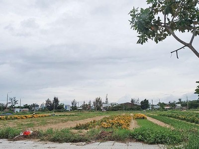 Hạ tầng “chắp vá”, nhiều dự án tại Khu đô thị mới Điện Nam - Điện Ngọc biến thành nơi trồng rau, trồng hoa