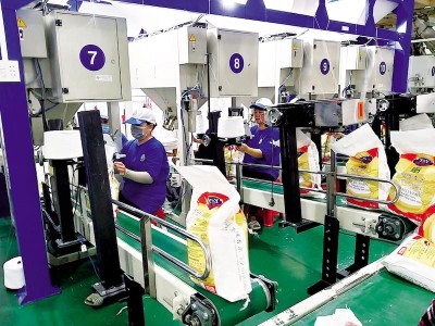 Đang đà tăng giá, Nông nghiệp công nghệ Trung An (TAR) có thêm cổ đông mua hơn 1 triệu cổ phiếu