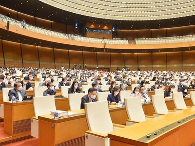 Toàn cảnh phiên họp sáng 12/11.