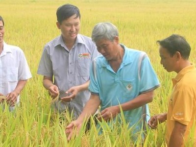 Tính đến cuối quý III/2021, Lộc Trời có quy mô tổng tài sản 8.143,9 tỷ đồng, tăng 17,7% so với đầu năm.