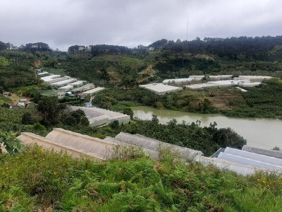 Mô hình nông nghiệp nhà kính kết hợp du lịch canh nông phát triển mạnh thời gian qua ở Lâm Đồng. Ảnh: Linh Đan