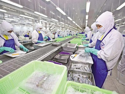 Nhiều địa phương phục hồi ấn tượng về số doanh nghiệp quay trở lại hoạt động