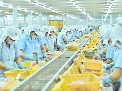 Sản xuất cá tra trong nhà máy của Navico (Nguồn: ANV).