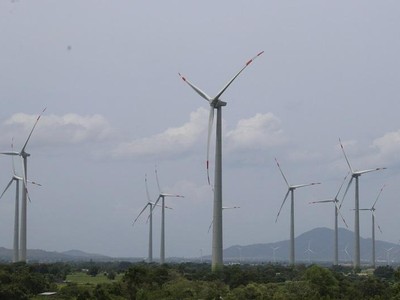 Một dự án điện gió đang vận hành ở Ninh Thuận. Ảnh: Linh Đan