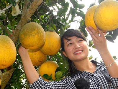 Phát triển sản phẩm OCOP gắn với xây dựng nông thôn mới, đặc biệt là phát triển mô hình du lịch cộng đồng ở nông thôn.